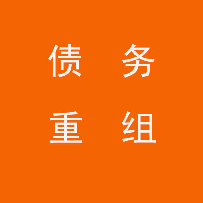 黟县个人债务重组优化